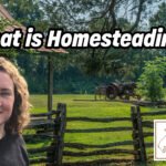 What is Homesteading?